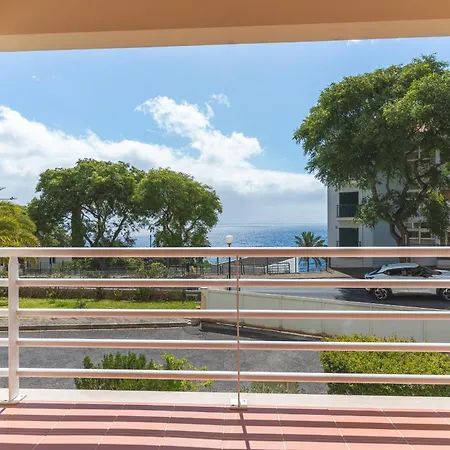 Strelitzia By Ah * Канису