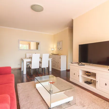 Strelitzia By Ah * קאניקו