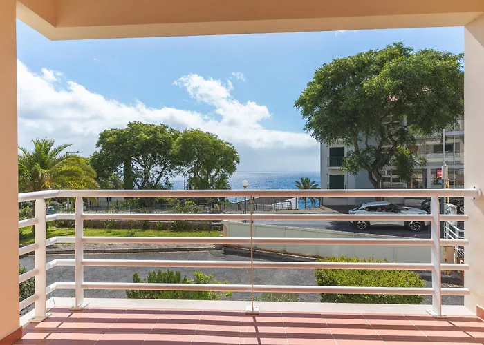 Strelitzia By Ah * Caniço